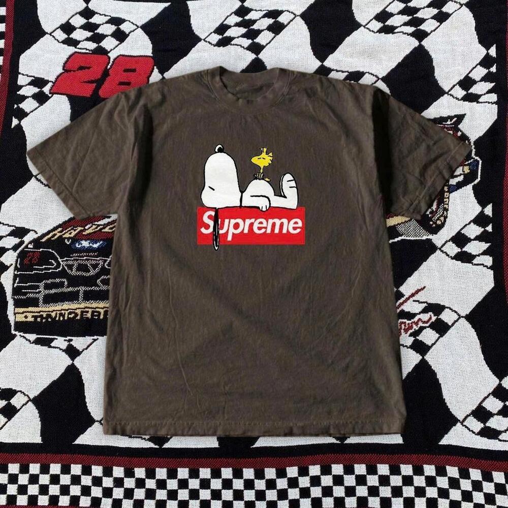 Brown Snoopy Graphic Tee - Picture 1 of 4